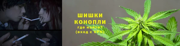 кокс Богданович